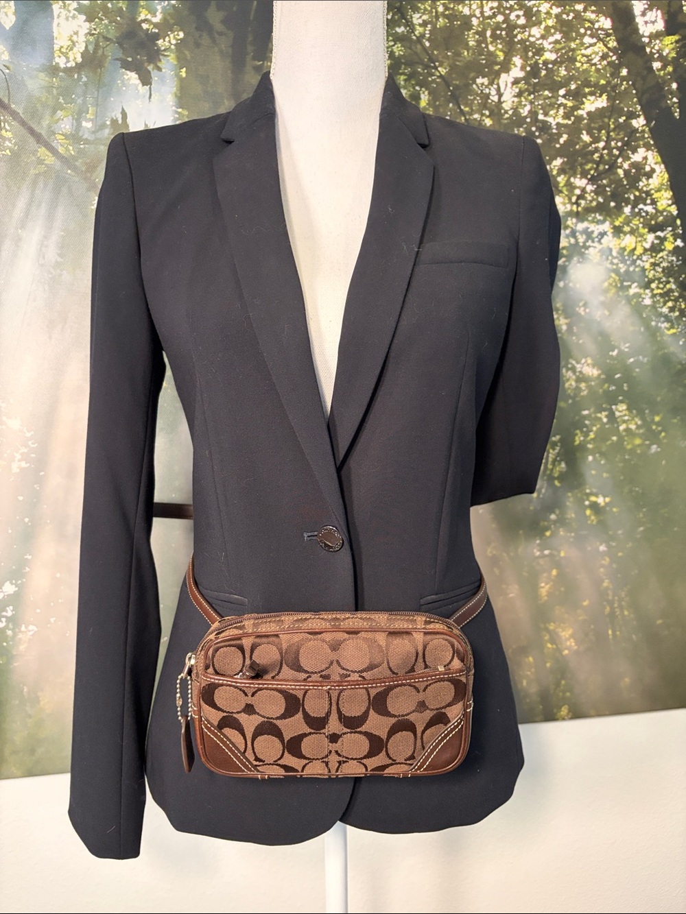COACH Y2K Mini Signature Jacquard Canvas Belt Bag - Picture 4 of 16
